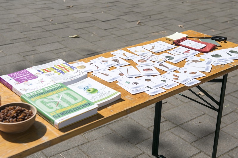 Street Training Debrecen